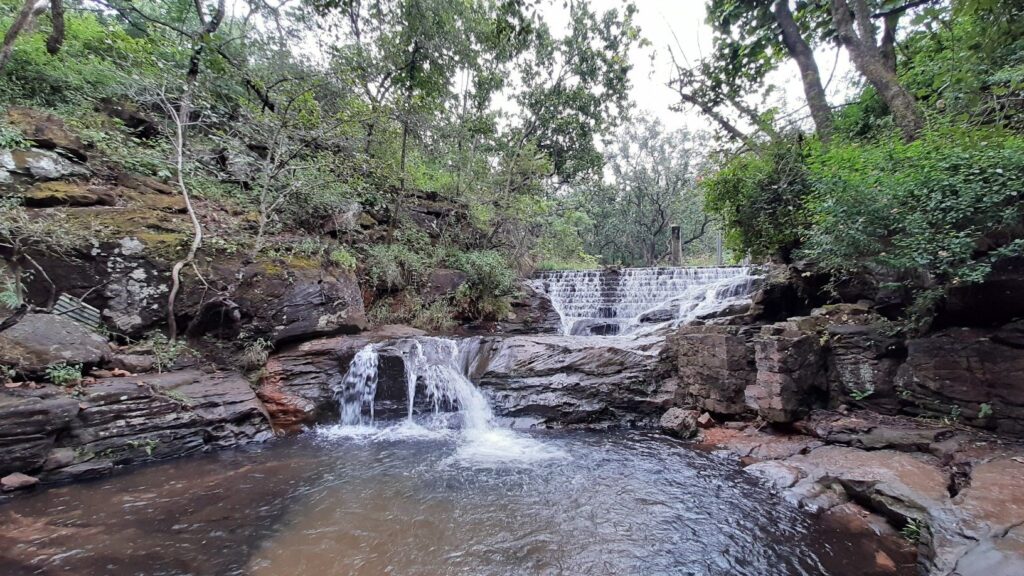 Bee Waterfall