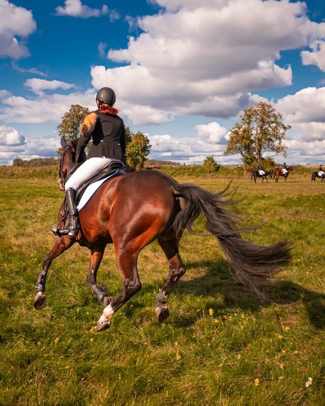  Horse Riding in pachmarhi