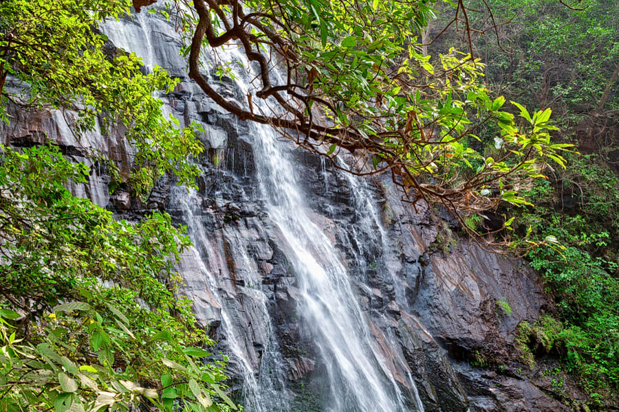 Waterfall trekking