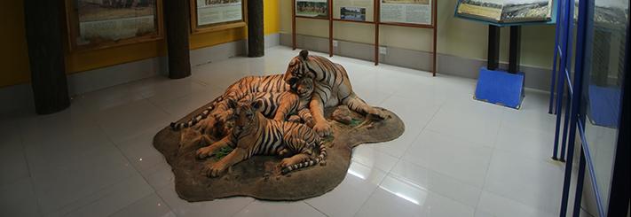  Kanha Museum